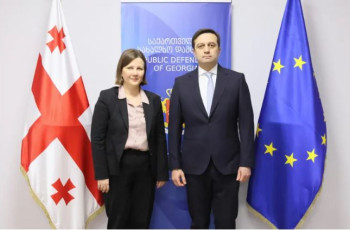 სახალხო დამცველი ეუთოს „მოსკოვის მექანიზმის“ ფარგლებში დანიშნულ მომხსენებელს შეხვდა