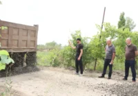 სოფელ ძლევიჯვარში შიდა გზების მოწესრიგება მიმდინარეობს