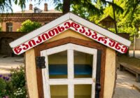 ხაშურის ბიბლიოთეკა მოქალაქეებს „წიგნის ბუდის“ გამოყენების წესების დაცვისკენ მოუწოდებს