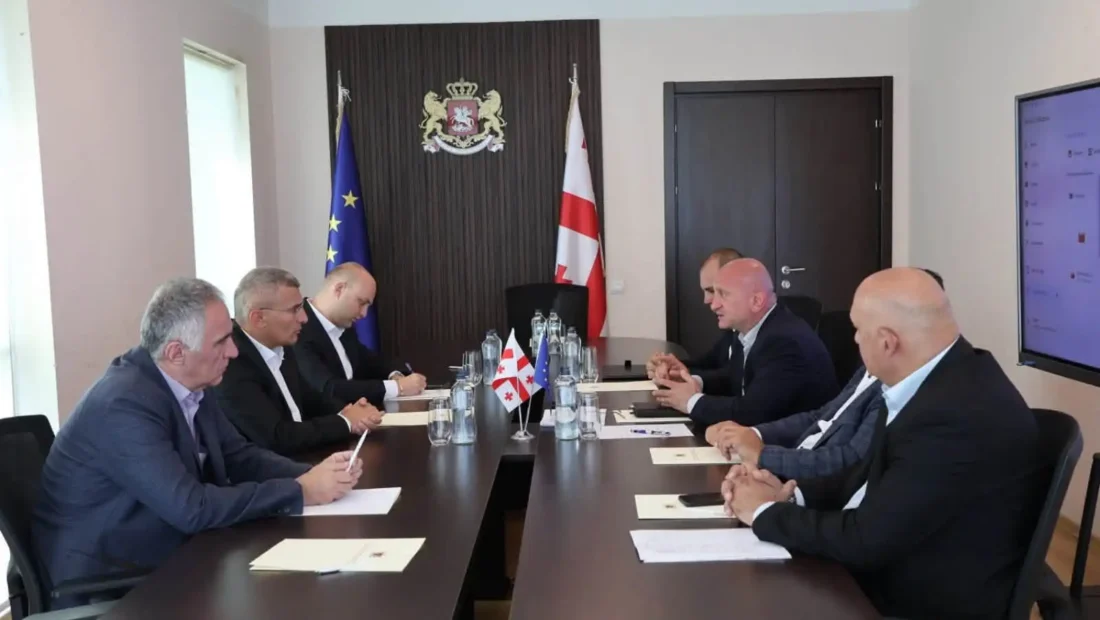 ვიცე-პრემიერმა რეგიონების განვითარების საკითხებზე სახელმწიფო რწმუნებულებთან სამუშაო შეხვედრები გამართა