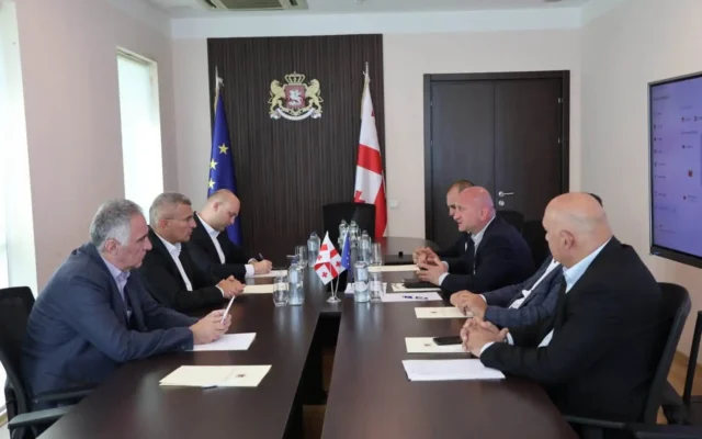 ვიცე-პრემიერმა რეგიონების განვითარების საკითხებზე სახელმწიფო რწმუნებულებთან სამუშაო შეხვედრები გამართა